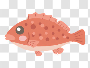 School - Cartoon Orange-Red Fish Illustration Transparent PNG