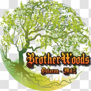 Tree Of Life Organism - Branch Transparent PNG