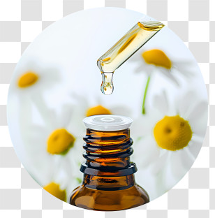 Essential Oil - Essential Oil Dropper With Chamomile Flowers Transparent PNG