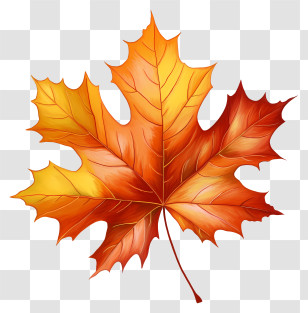 Red Leaf - Beautiful Autumn Maple Leaf Illustration Transparent PNG