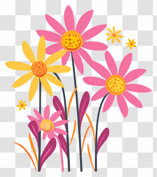 Daisy Pink Flowers - Pink And Yellow Flowers With Decorative Stems Transparent PNG