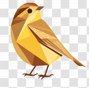 Bird Day - Small Yellow Bird Transparent PNG