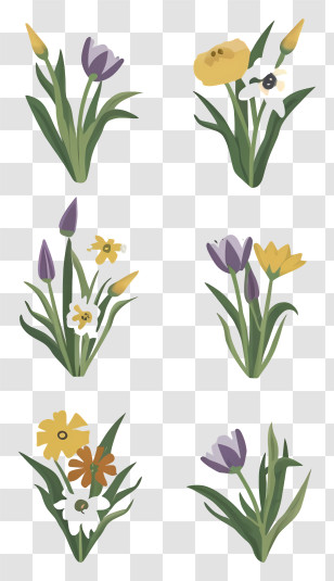 Flowers - Watercolor Spring Flower Illustration Transparent PNG
