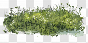 Lawn Grass - Lush Green Patch Of Grass Transparent PNG