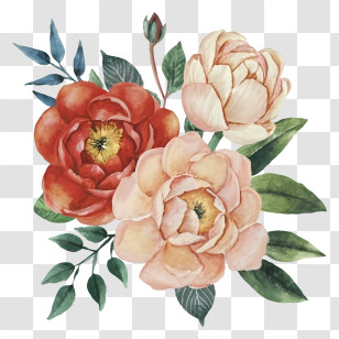 Painting - Red And Pink Flowers With Green Leaves Transparent PNG
