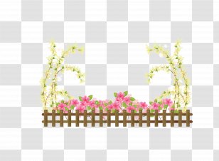 Vector Flower Pseudanthium Clip Art - European Fence Flowers Transparent PNG