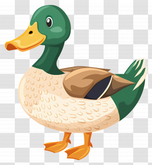Duck - Cartoon Duck With Green Feathers Transparent PNG
