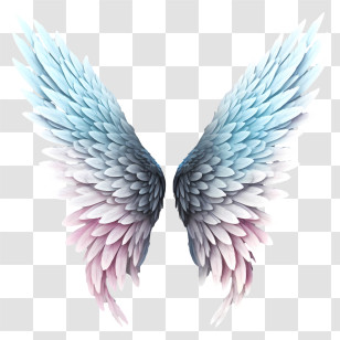 Pastel Angel Wings - Beautiful Angel Wings Illustration Transparent PNG