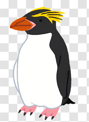 Nature - Illustration Of A Royal Penguin With Yellow Feathers Transparent PNG