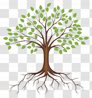 Tree With Roots - Tree With Root System And Green Leaves Transparent PNG
