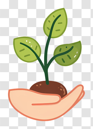 Hand Holding Seedling - Plant In Hand For Environmental Care Transparent PNG