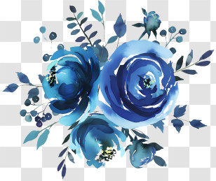 Flowers - Beautiful Blue Watercolor Roses Illustration Transparent PNG