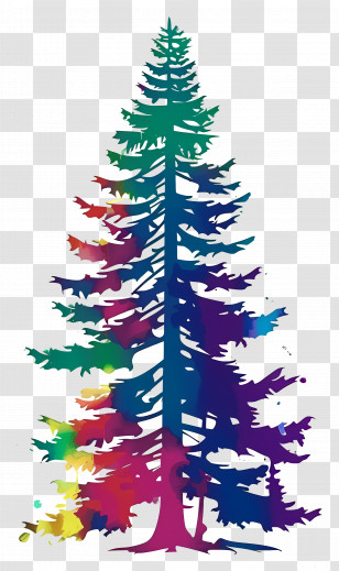 Pine Tree Silhouette - Rainbow-Colored Tree Silhouette Illustration Transparent PNG