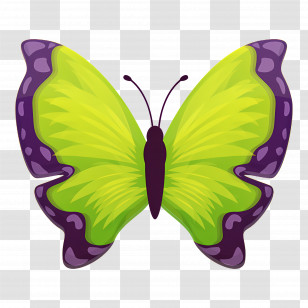 Green Butterfly - Green And Purple Butterfly With Unique Design Transparent PNG