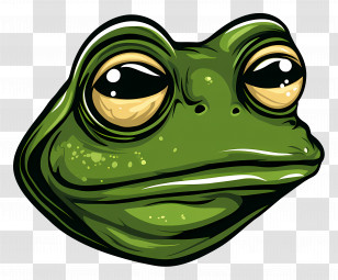 Pepe The Frog - Green Frog In Detailed Wildlife Illustration Transparent PNG