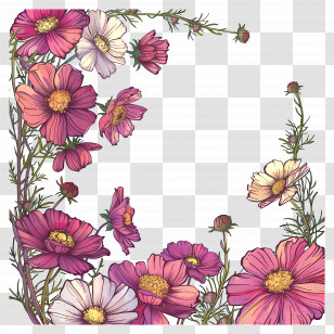 Pink And White Flowers - Pink And White Cosmos Flowers Frame Transparent PNG