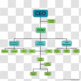 Organizational Chart Diagram Consultant Company - Map - Costco ...
