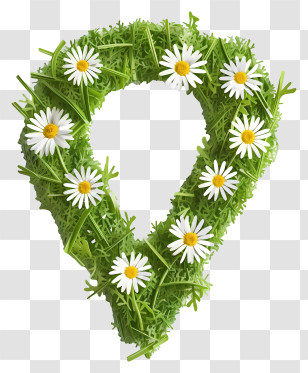 Flowers - Green Wreath With Daisies Transparent PNG