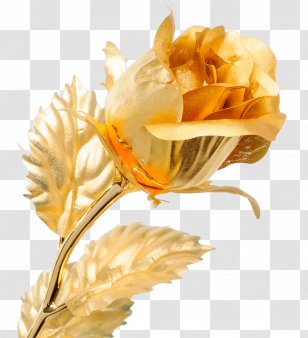 Gift Internet Online Shopping Figurine Souvenir - Plant Stem - Betta Transparent PNG