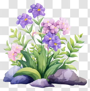 Bed Of Flowers - Beautiful Purple Flowers Transparent PNG