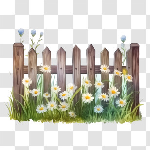 Wooden Garden Fence - Wooden Fence With Daisies Illustration Transparent PNG