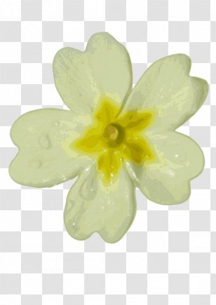 white flower png images transparent white flower images white flower png images transparent