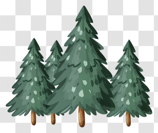 Pine Trees - Cluster Of Pine Trees Illustration Transparent PNG
