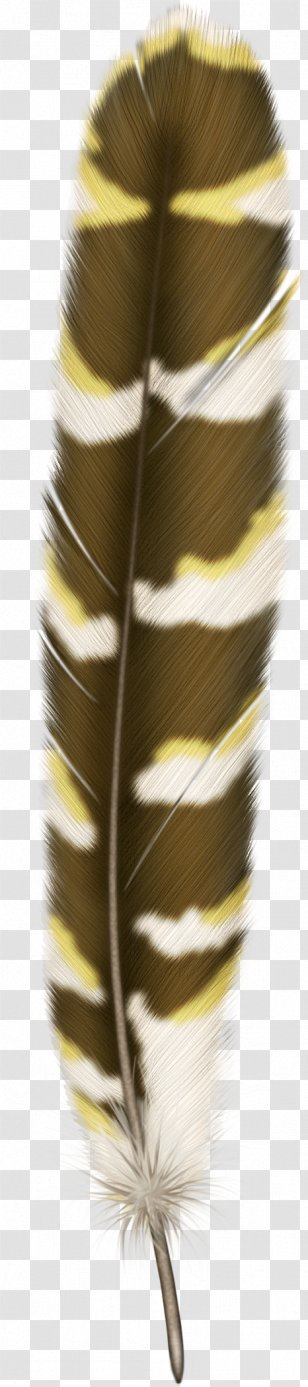 Bird Feather Hair - Close Up - Feathers Transparent PNG