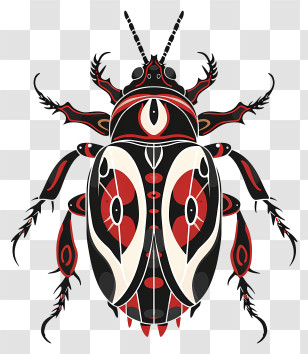 Tibetan Beetle - Stylized Decorative Beetle Transparent PNG