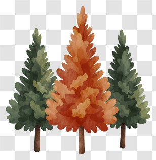 Cartoon - Colorful Autumn Trees Illustration Transparent PNG