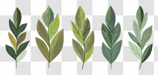 Bay Leaf - Set Of Green Plant Leaves In Watercolor Style Transparent PNG