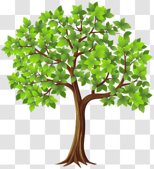 Leaf - Tree With Fresh Bright Green Leaves Illustration Transparent PNG