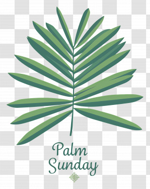 Palm Sunday - Palm Leaf For Palm Sunday Transparent PNG