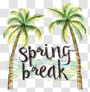 Spring Break - Palm Trees For Spring Break Transparent PNG