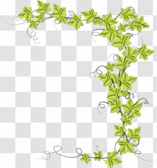 Ivy - Family - Plant Stem Transparent PNG
