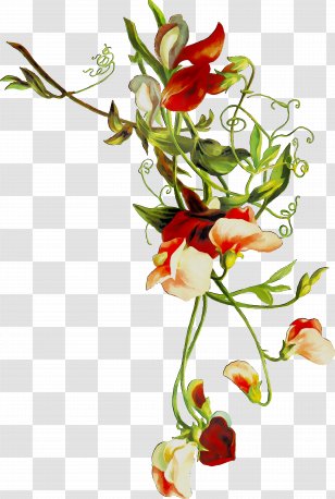 Floral Design Cut Flowers Flower Bouquet - Flowerpot - Flora Transparent PNG