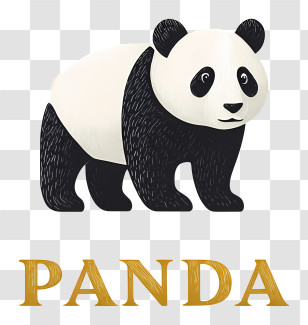 Panda Logo - Panda Illustration With Text Transparent PNG
