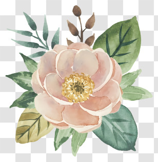 Pink Flower - Peach Flower With Green Leaves In Watercolor Style Transparent PNG