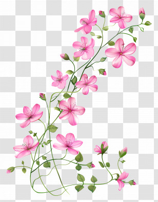 Pink Flowers - Pink Flower Vine Illustration Transparent PNG