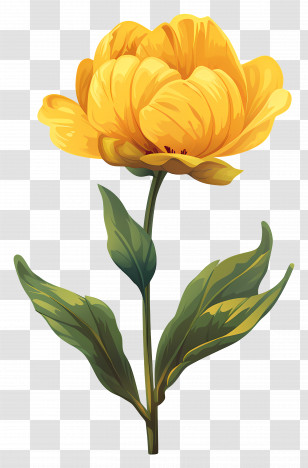 Yellow Flower - Yellow Flower With Stem And Leaves Transparent PNG