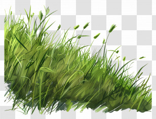 Green Grass - Lush Green Grass In Nature Transparent PNG