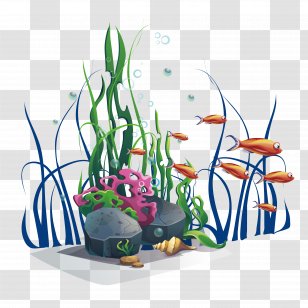 Adobe Illustrator - Artworks - Small Fresh Island Tour Transparent PNG