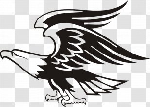 Krui, Lampung Barat West Pesisir Regency Bald Eagle - Symbol - Vertebrate Transparent PNG