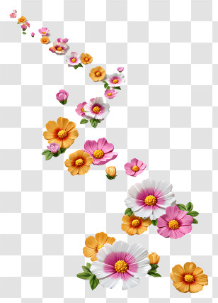 Trail Of Flowers - Colorful Flowers In Bloom Transparent PNG
