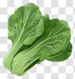 Chinese Cabbage - Fresh Green Chard Leaves Transparent PNG