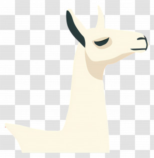 Llama - White Llama Head Transparent PNG