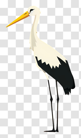 White Stork - Illustration Of White Stork With Yellow Beak Transparent PNG