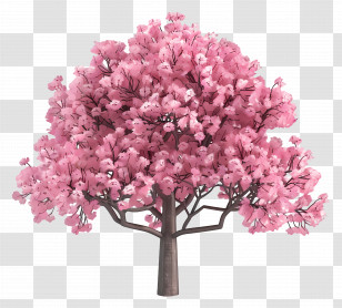 Animated Tree - Beautiful Pink Cherry Blossom Tree Transparent PNG