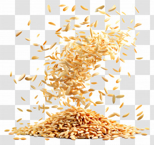 Rice - Golden Wheat Grains Falling In Motion Transparent PNG