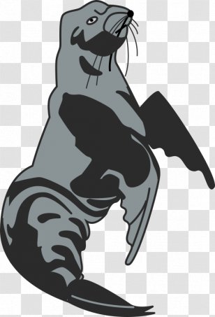 Sea Lion Mammal Antarctica Clip Art - Marine Transparent PNG